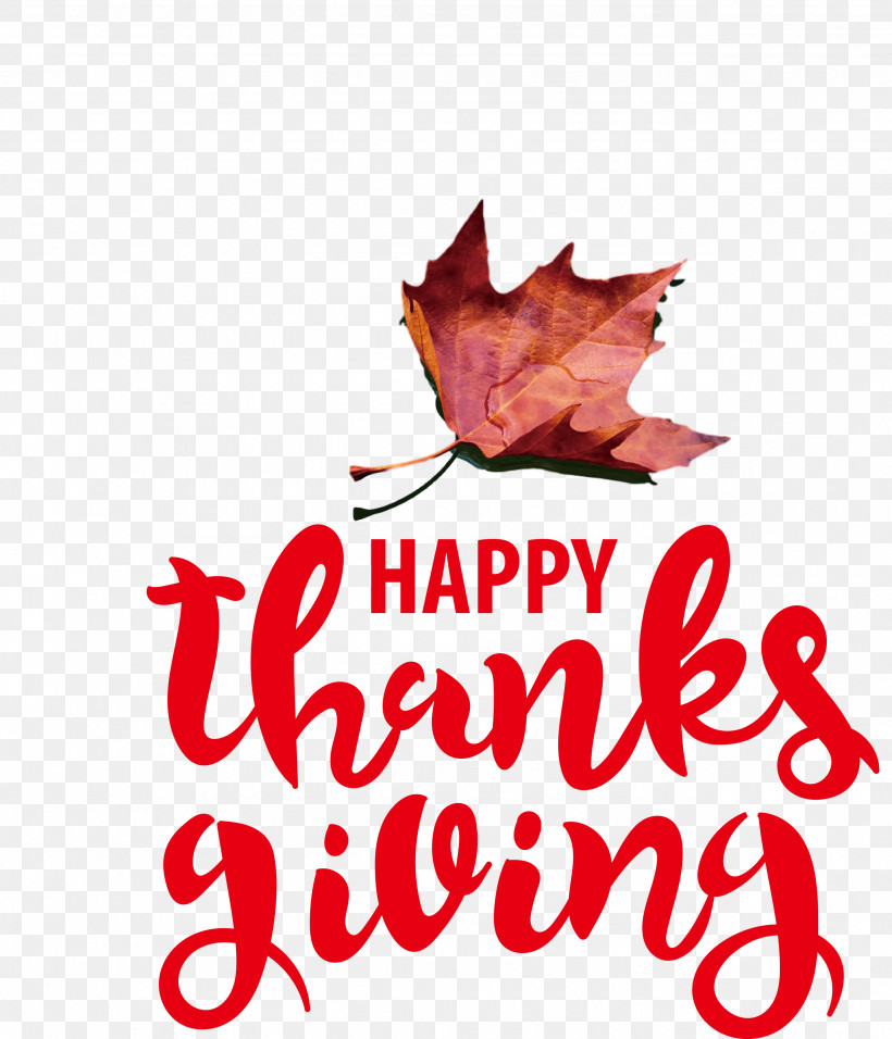 Thanksgiving Autumn, PNG, 2571x3000px, Thanksgiving, Autumn, Biology, Flower, Leaf Download Free