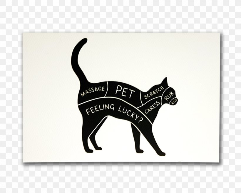 Cat Collar Leash Pet Horse, PNG, 1000x800px, Cat, Animal, Black, Black Cat, Carnivoran Download Free