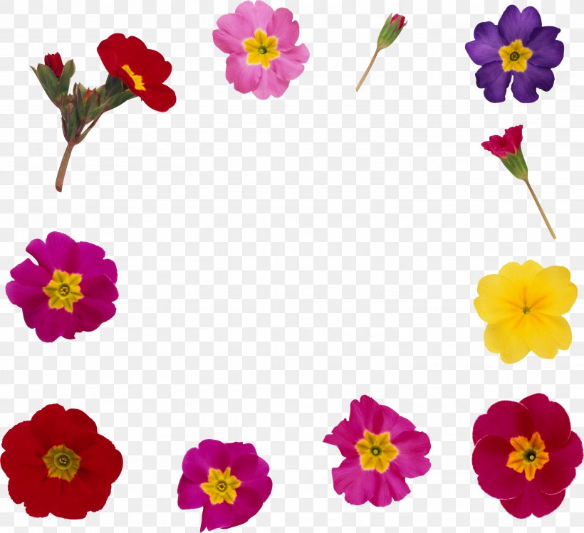 Flower Picture Frames Clip Art, PNG, 2922x2672px, Flower, Annual Plant, Blume, Cut Flowers, Flora Download Free