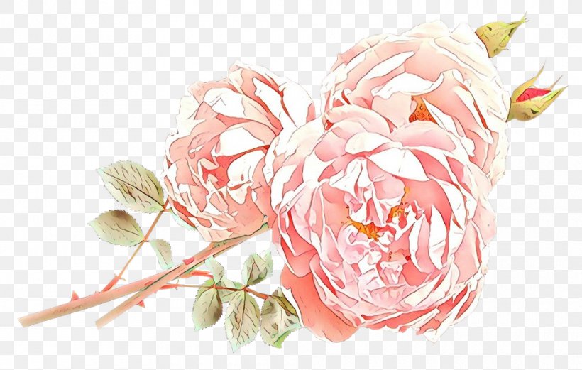 Garden Roses, PNG, 960x611px, Cartoon, Cut Flowers, Flower, Garden Roses, Peony Download Free
