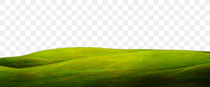 Green Close-up Wallpaper, PNG, 1920x800px, Green, Close Up, Closeup, Computer, Grass Download Free