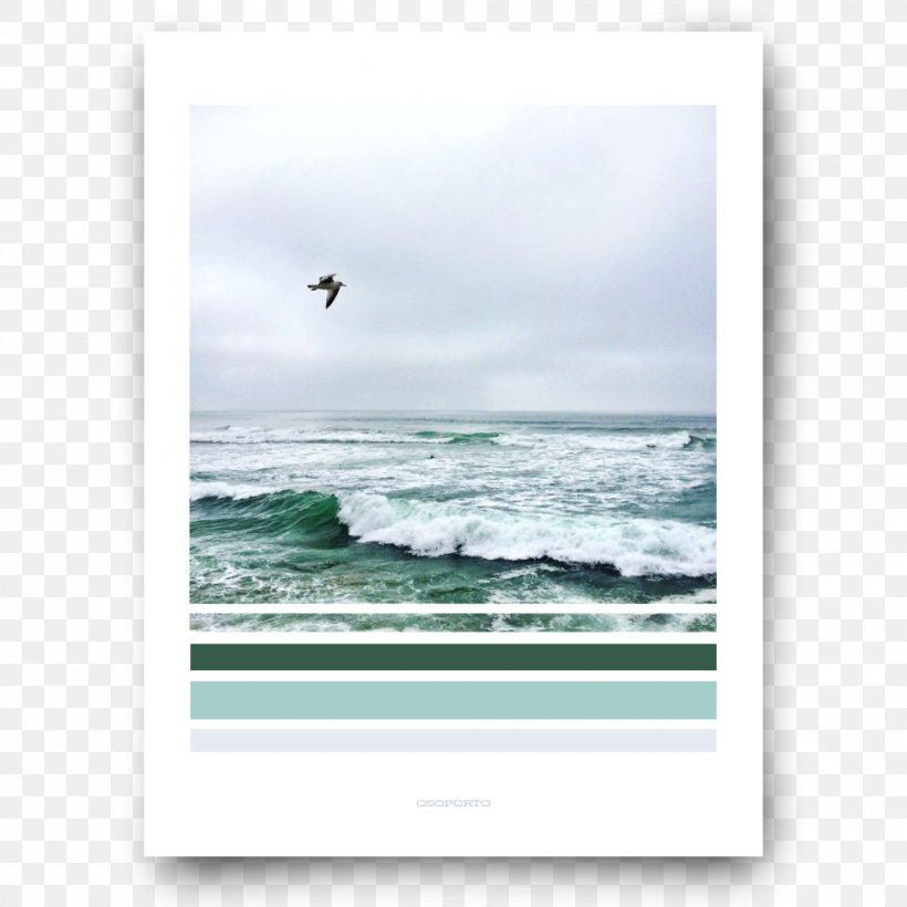 Sea Shore Poster Picture Frames White House, PNG, 1000x1000px, Sea, Beach, City, Horizon, Los Angeles Download Free
