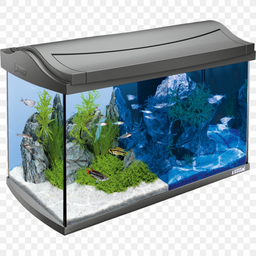 Aquarium Light-emitting Diode Tetra LED Lamp, PNG, 970x970px, Aquarium, Aquarium Decor, Aquarium Filters, Aquarium Lighting, Fish Download Free