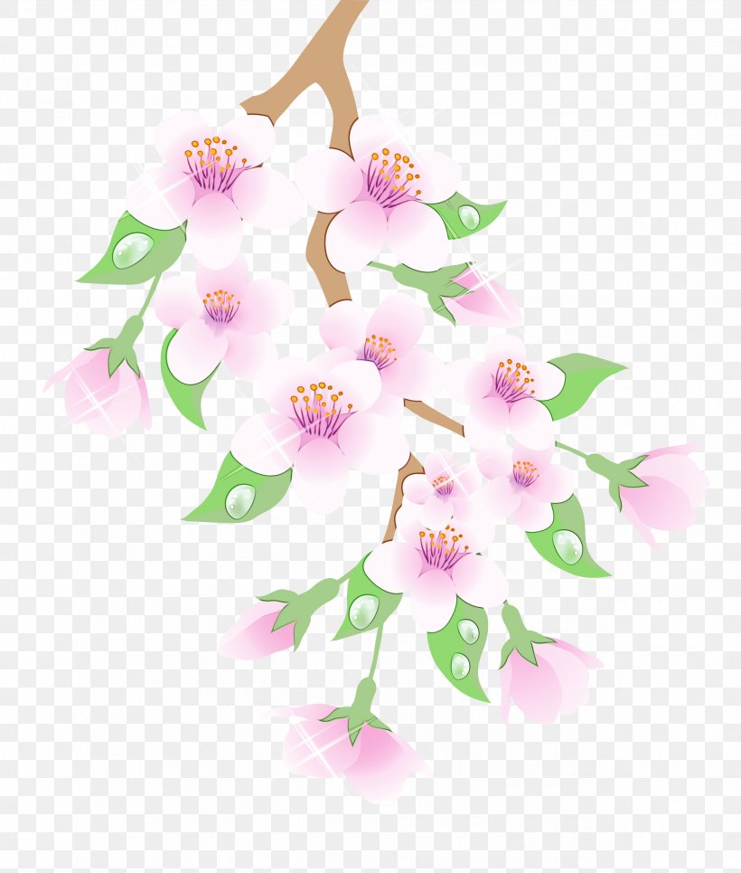 Clip Art Spring Image Branch, PNG, 2547x3000px, Spring, Blossom, Botany, Branch, Cattleya Download Free