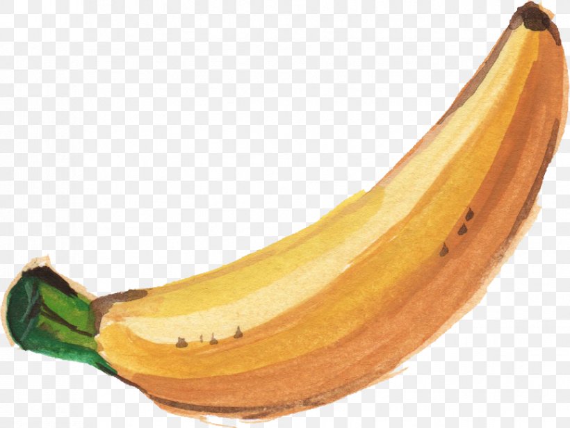 Banana Leaf Watercolor Painting, PNG, 864x650px, Banana, Banana Family, Banana Leaf, Cooking Banana, Cooking Plantain Download Free