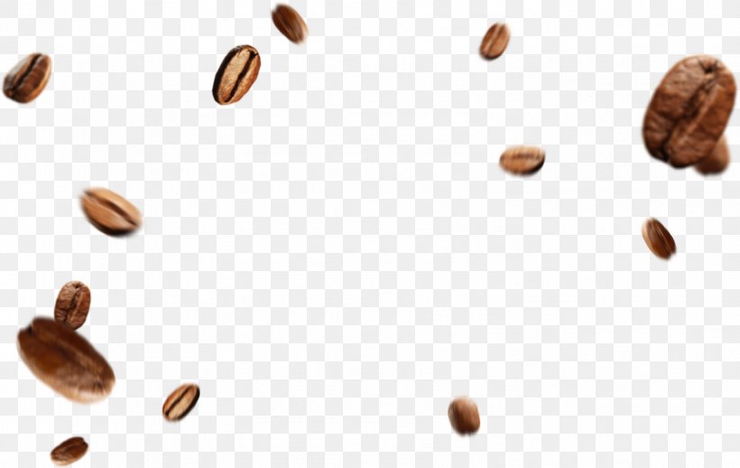 Coffee Bean Clip Art, PNG, 1596x1010px, Coffee, Bean, Cocoa Bean, Coffee Bean, Coffee Roasting Download Free