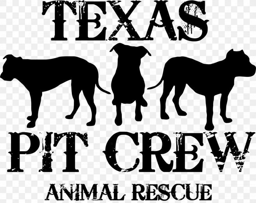 Dog Wichita Falls Pet Cat Veterinarian, PNG, 1148x914px, Dog, Animal, Animal Control And Welfare Service, Animal Rescue Group, Animal Sanctuary Download Free