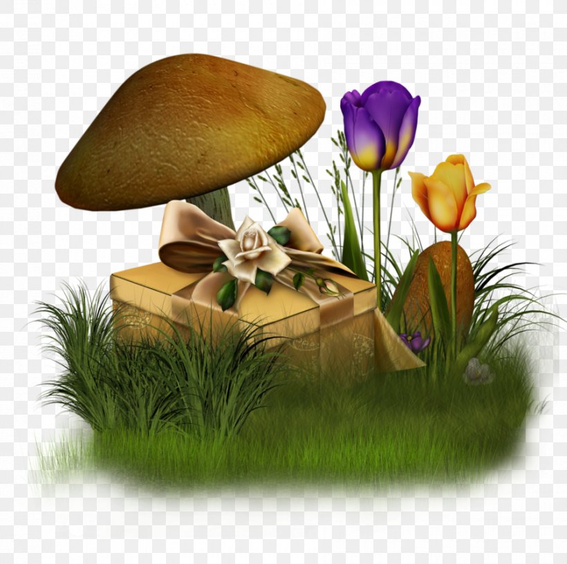 Flower Clip Art, PNG, 900x896px, Flower, Blog, Drawing, Flowering Plant, Garden Roses Download Free