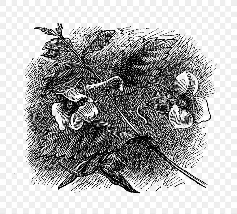 History Of Jefferson County, Iowa: (1879) Monochrome Photography Black And White, PNG, 1600x1446px, Jefferson County Iowa, Artwork, Black And White, County, Flowering Plant Download Free