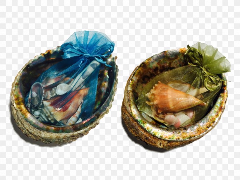 Mussel Clam Abalone, PNG, 853x640px, Mussel, Abalone, Animal Source Foods, Clam, Clams Oysters Mussels And Scallops Download Free
