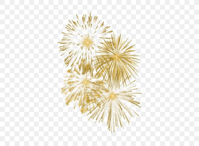 Transparency Clip Art Fireworks Image, PNG, 600x600px, Fireworks, Dandelion, Drawing, Flower, New Year Download Free