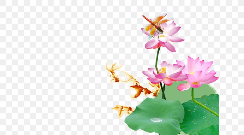Dragonfly Download Fundal, PNG, 652x454px, Dragonfly, Blossom, Coreldraw, Flora, Floral Design Download Free