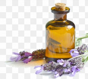 Oil - English Lavender Lavender Oil Essential Oil Skin PNG