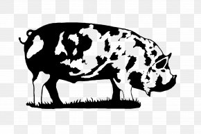 Wildlife Bovine - Pig Cartoon PNG