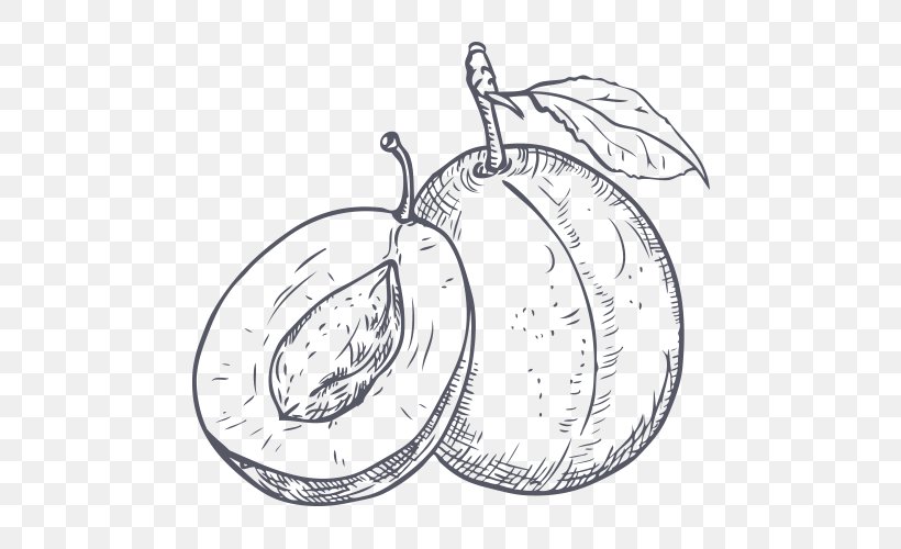 Plum Drawing Line Art Royalty-free, PNG, 500x500px, Plum, Area, Artwork, Black And White, Drawing Download Free