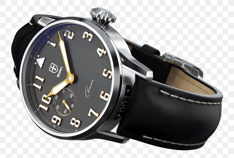 Automatic Watch Biatec International Watch Company Movement, PNG, 800x554px, Watch, Automatic Watch, Biatec, Brand, Clock Download Free