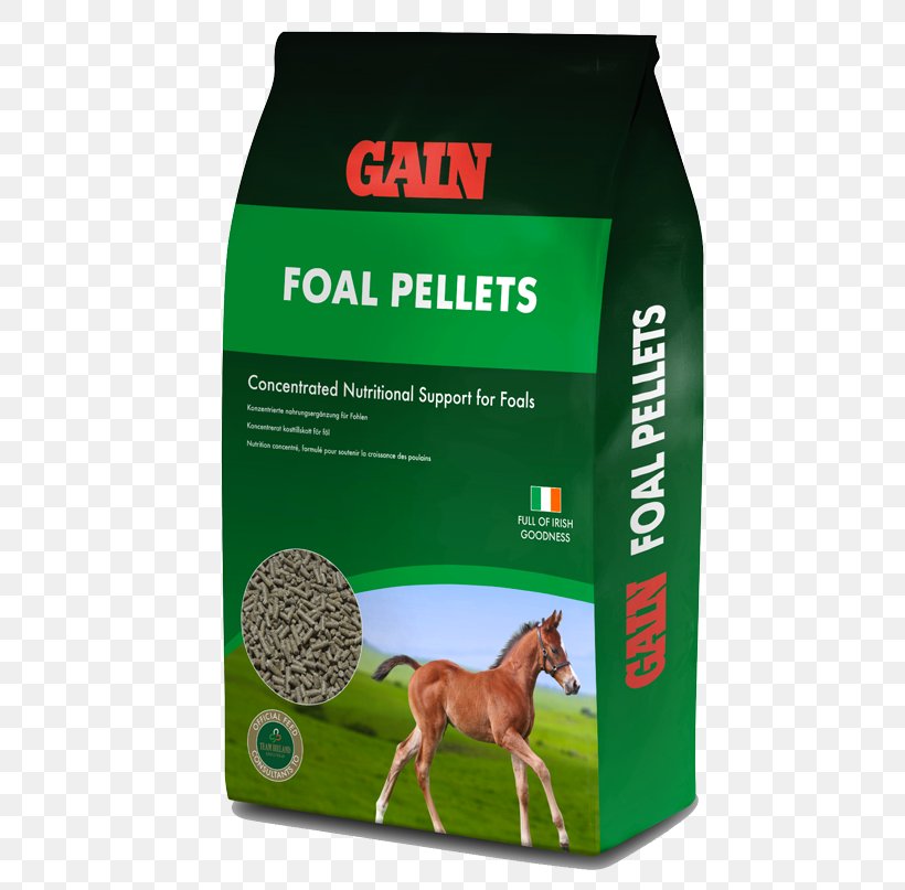 Horse Pony Dog Foal Equine Nutrition, PNG, 600x807px, Horse, Dog, Dog Food, Dog Like Mammal, Dressage Download Free