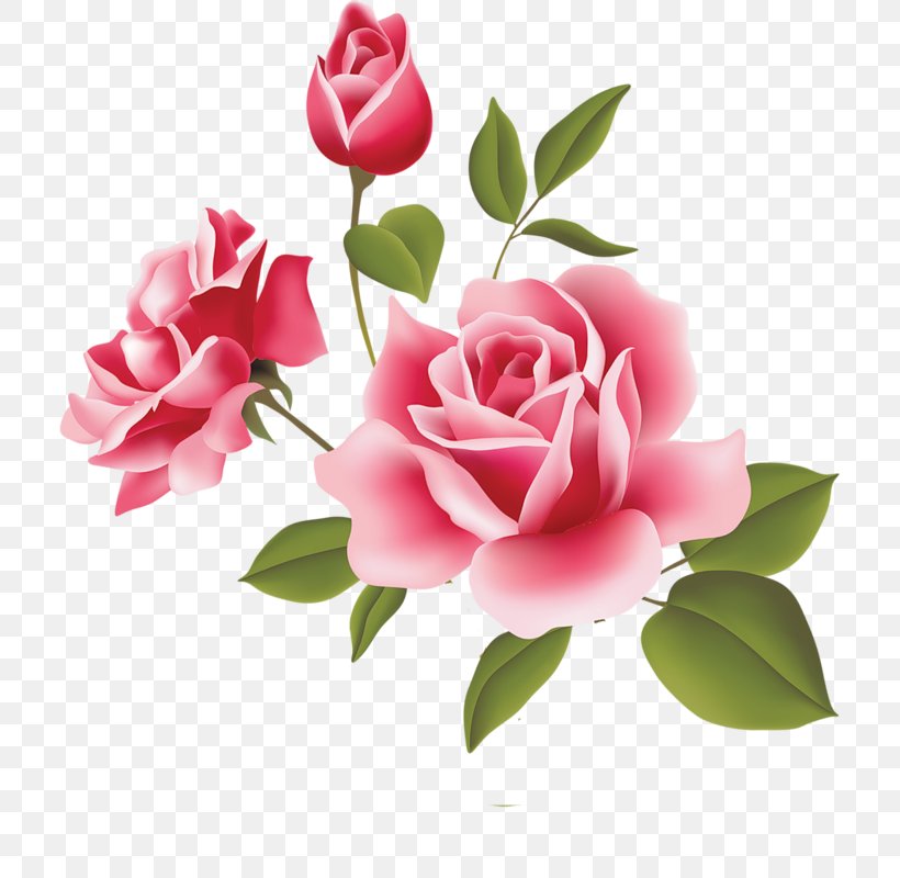 Love Otto Florist & Gifts Flower Community Of The Lady Of All Nations Drawing, PNG, 711x800px, Love, Alexander Herzen, Amour Fou, Artificial Flower, Company Download Free