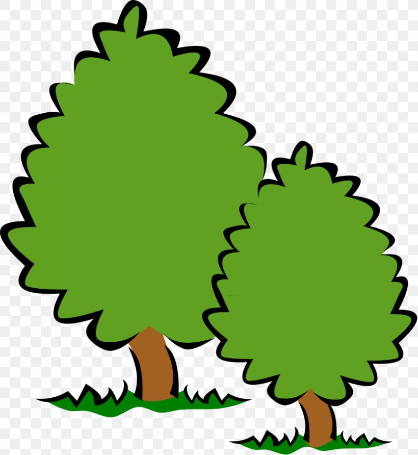 Tree Shrub Free Content Clip Art, PNG, 827x900px, Tree, Area, Artwork, Beak, Bird Download Free