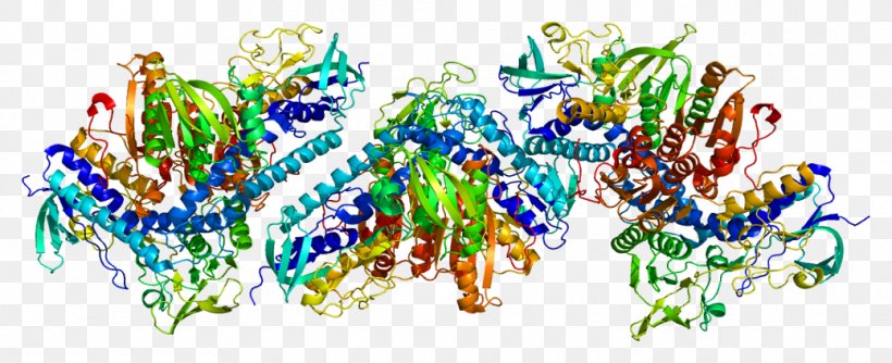 TXNRD1 Thioredoxin Reductase Logo Gene, PNG, 1038x423px, Thioredoxin Reductase, Chromosome, Enzyme, Exosome, Gene Download Free
