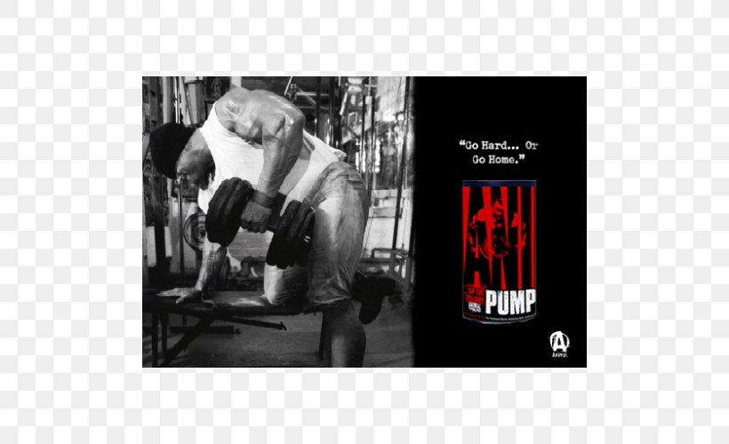Bodybuilding Fitness Centre Mr. Olympia Olympic Weightlifting Weight Training, PNG, 500x500px, Bodybuilding, Advertising, Album Cover, Arm, Arnold Schwarzenegger Download Free