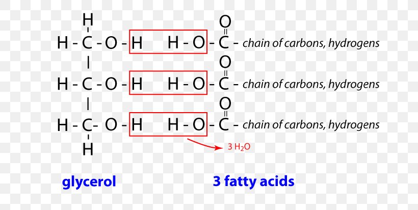 Document Line Angle Triglyceride Brand, PNG, 698x412px, Document, Area, Brand, Diagram, Material Download Free