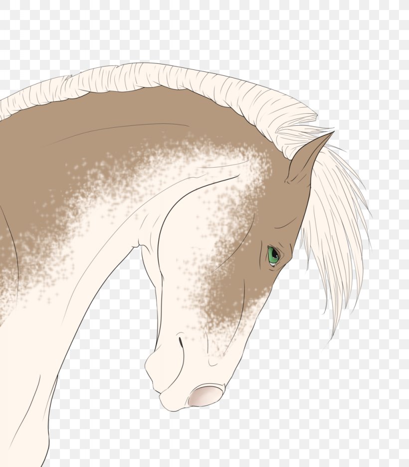 Mane Mustang Drawing Snout, PNG, 1024x1170px, Mane, Closeup, Drawing, Ear, Fictional Character Download Free