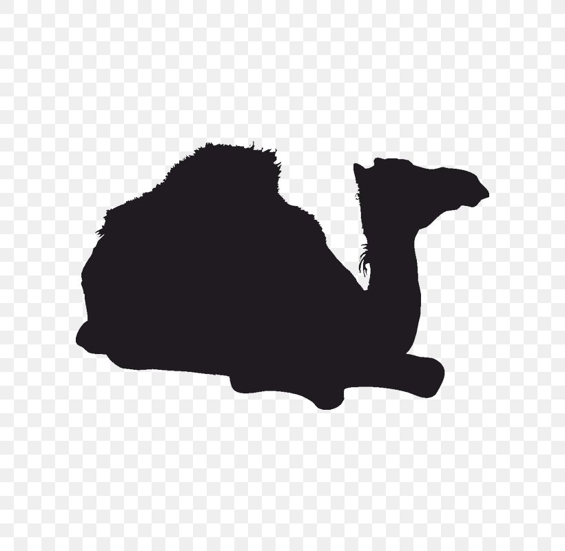 Silhouette Image Camel Chinchilla Logo, PNG, 800x800px, Silhouette, Animal, Black, Black And White, Camel Download Free