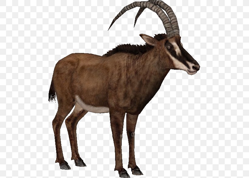 Gemsbok Antelope Waterbuck Pronghorn Barbary Sheep, PNG, 585x585px, Gemsbok, Animal, Antelope, Barbary Sheep, Caprinae Download Free