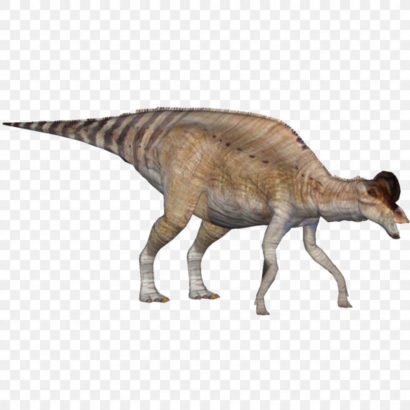 Tyrannosaurus Corythosaurus Zoo Tycoon 2 Dinosaur Provincial Park Ankylosaurus Png 1024x1024px Tyrannosaurus Animal Figure Ankylosaurus Cassowary - what we know roblox zoo tycoon velociraptor wiki fandom