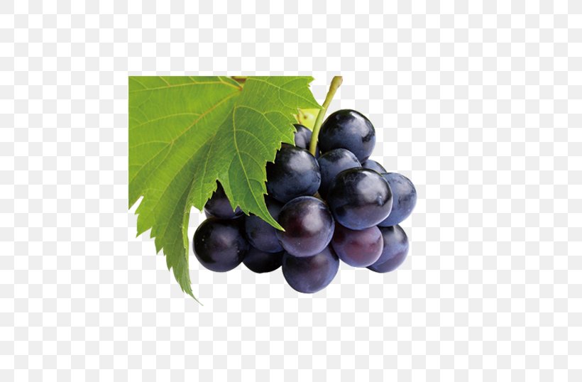 Juice Common Grape Vine Frutti Di Bosco Fruit, PNG, 686x538px, Juice, Berry, Common Grape Vine, Food, Fruit Download Free
