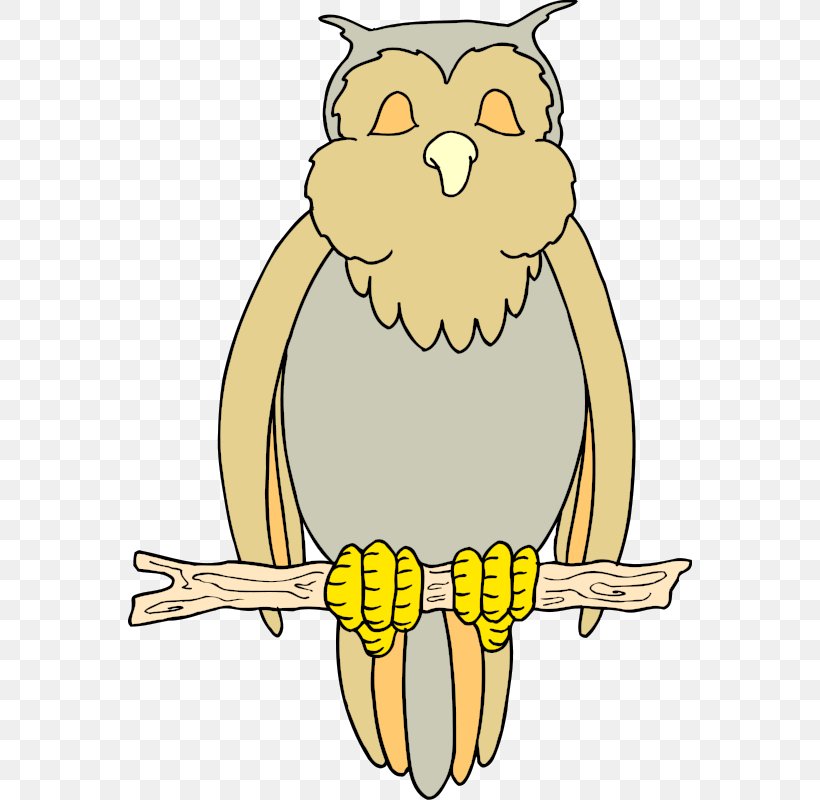 Owl Bird Drawing Clip Art, PNG, 564x800px, Owl, Artwork, Beak, Bird, Bird Of Prey Download Free