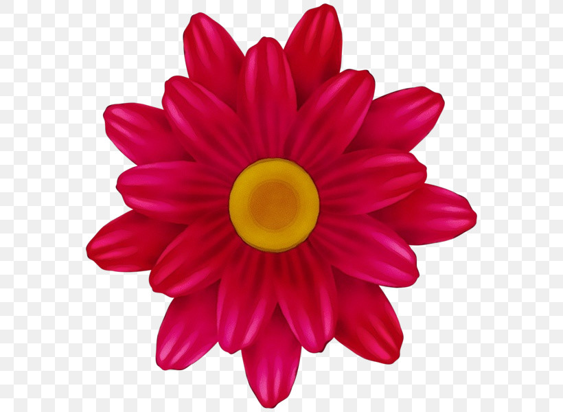 Petal Pink Flower Gerbera Barberton Daisy, PNG, 580x600px, Watercolor, Barberton Daisy, Flower, Gazania, Gerbera Download Free