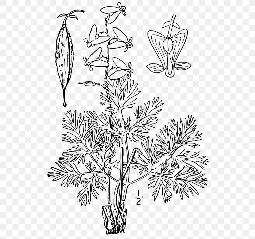 Twig Floral Design Plant Stem Leaf, PNG, 536x768px, Twig, Black And White, Branch, Flora, Floral Design Download Free