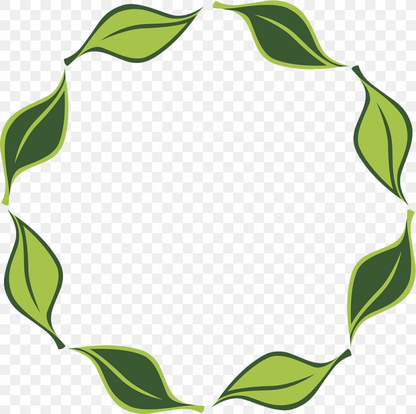 Circle, PNG, 1024x1021px, Leaf, Artwork, Branch, Flora, Flower Download Free