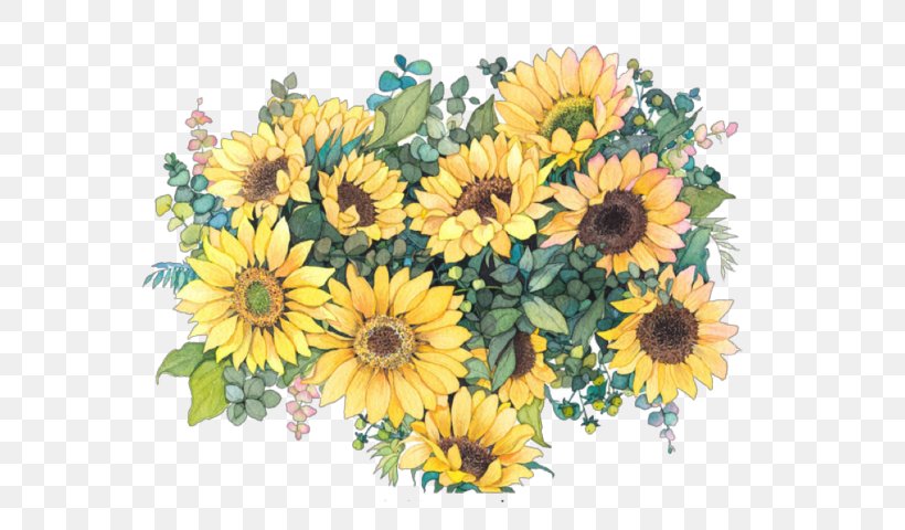 Common Daisy Common Sunflower Watercolor Painting Drawing, PNG, 597x480px, Common Daisy, Annual Plant, Art, Chrysanths, Common Sunflower Download Free