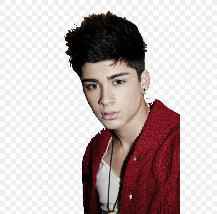 Zayn Malik One Direction Bradford Male Gotta Be You, PNG, 540x810px, Watercolor, Cartoon, Flower, Frame, Heart Download Free