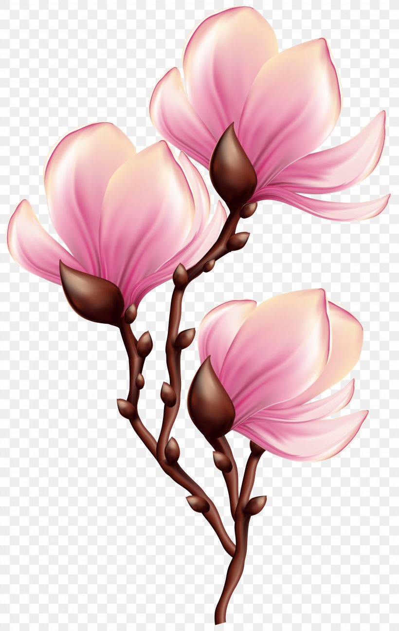 Blossom Clip Art, PNG, 3796x6000px, Decorative Silhouettes, Blossom, Branch, Cyclamen, Flower Download Free