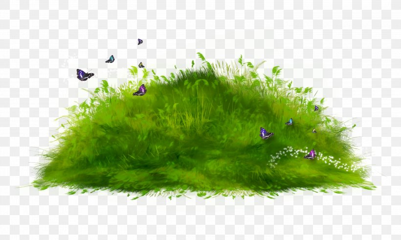 Clip Art Image Openclipart Desktop Wallpaper, PNG, 3000x1800px, Stock Photography, Ecosystem, Grass, Grass Family, Green Download Free