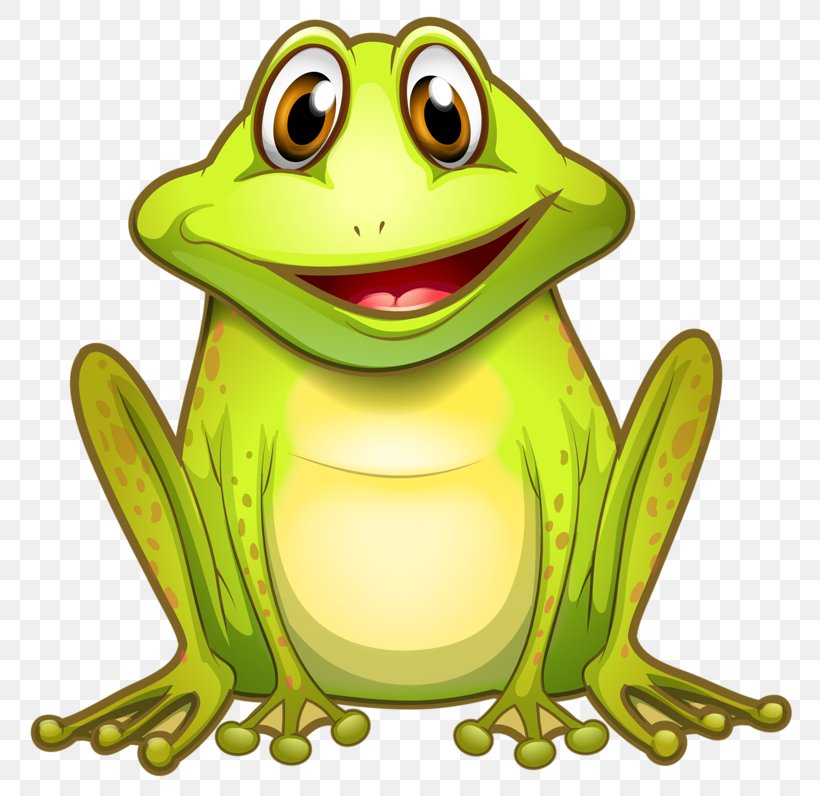 Edible Frog The Frog Prince Cartoon, PNG, 800x796px, Frog, Amphibian, Cartoon, Drawing, Edible Frog Download Free
