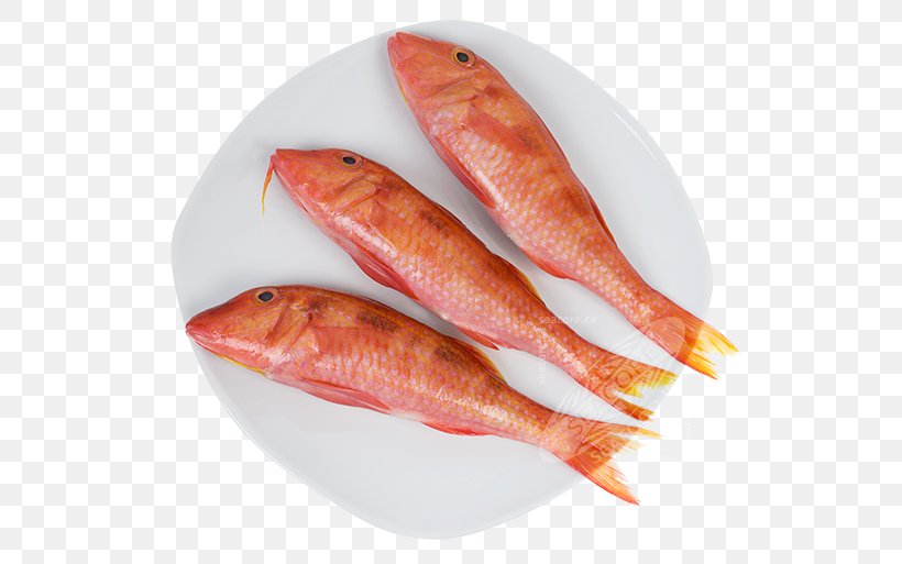 Fishing Food Fillet Australia, PNG, 575x513px, Fish, Animal Source Foods, Aquarium, Australia, Cooking Download Free