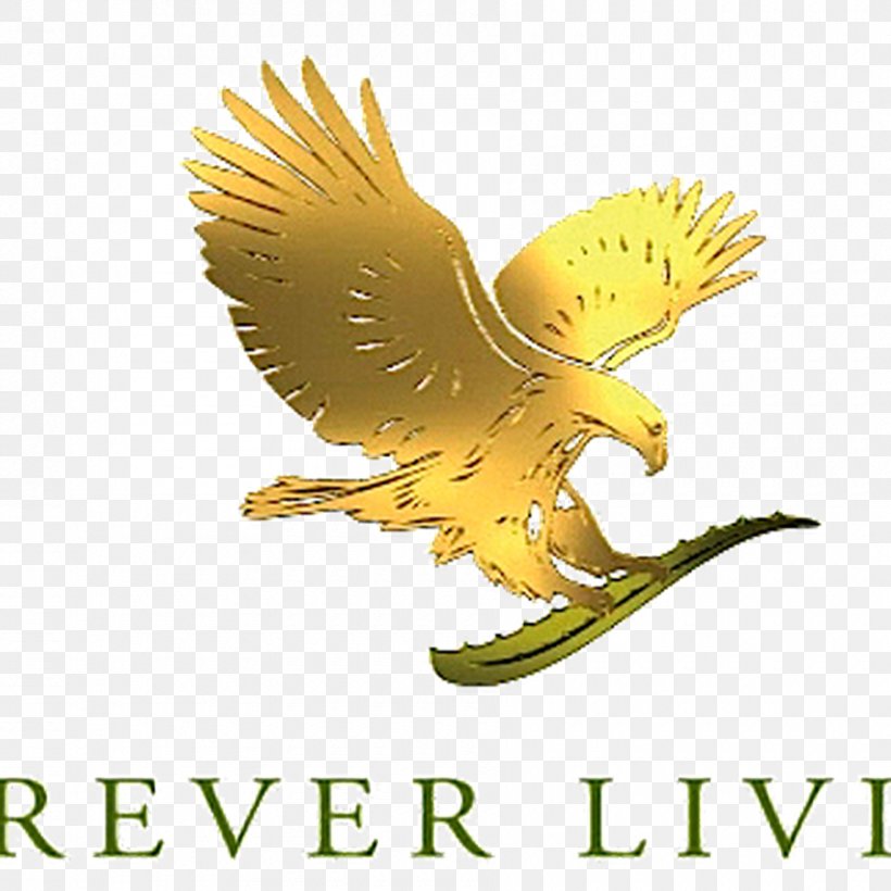 Forever Living Products Australia MEDIA SECTOR ALOE VERA GEL FOREVER The Forever Living Store(Health And Beauty Store.), PNG, 900x900px, Forever Living Products, Aloe Vera, Beak, Beauty, Bird Download Free