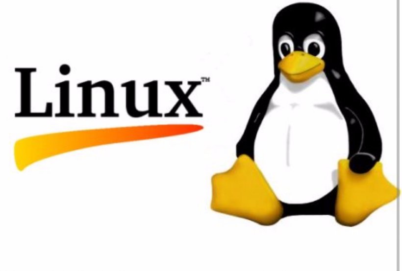 Linux From Scratch Training LXC Operating Systems, PNG, 1440x974px, Linux, Beak, Bird, Brand, Centos Download Free