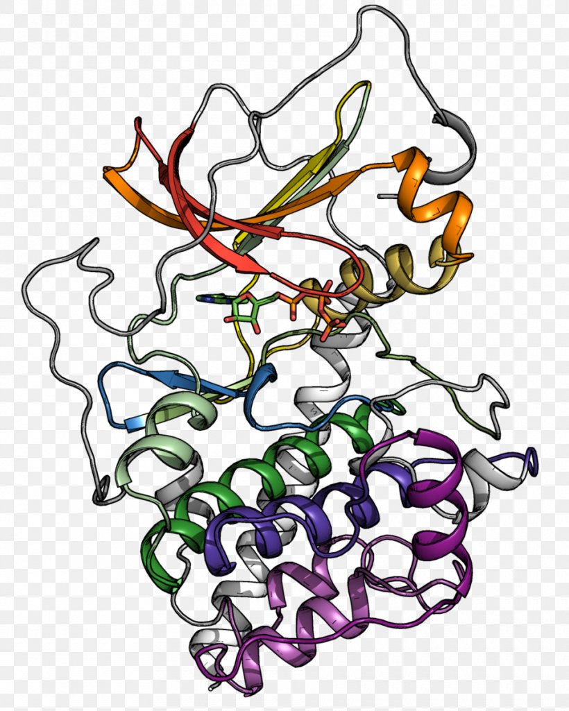 Protein Kinase Phosphorylation Adenosine Triphosphate Threonine, PNG, 960x1200px, Protein Kinase, Adenosine Triphosphate, Area, Art, Body Jewelry Download Free