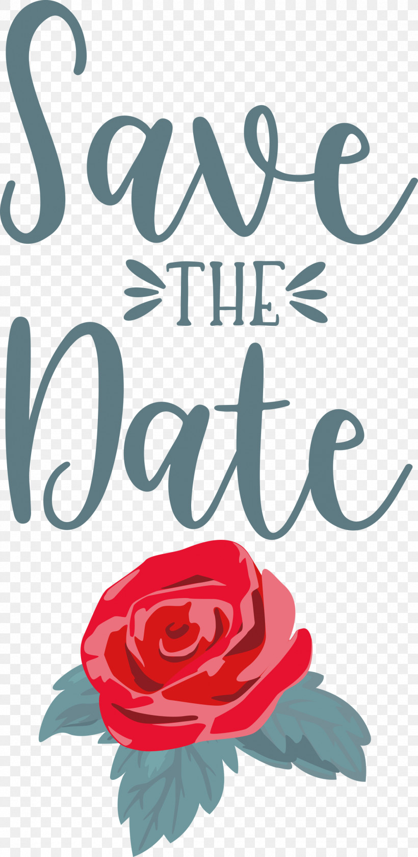 Save The Date Wedding, PNG, 1465x2999px, Save The Date, Cut Flowers, Floral Design, Flower, Garden Download Free