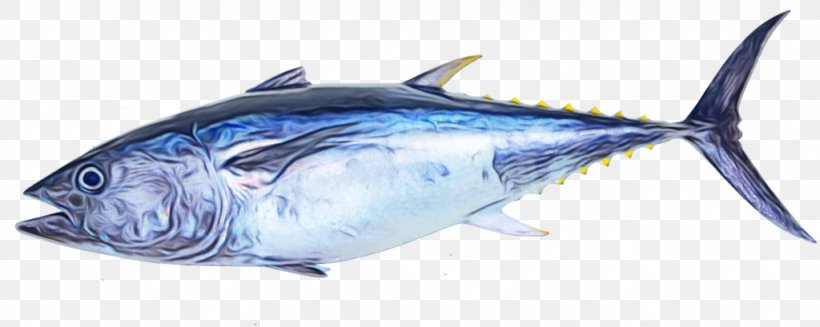 Fish Fish Atlantic Blue Marlin Fish Products Atlantic Bluefin Tuna, PNG, 1024x409px, Watercolor, Atlantic Blue Marlin, Atlantic Bluefin Tuna, Atlantic Spanish Mackerel, Fish Download Free