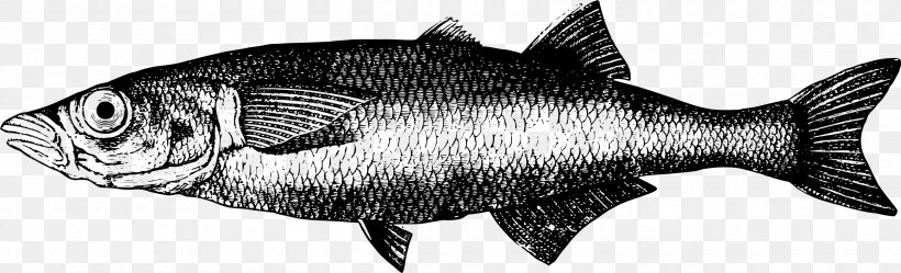 Freshwater Fish Herring Fresh Water Animal, PNG, 2400x729px, Fish, Animal, Aquatic Animal, Artwork, Black And White Download Free