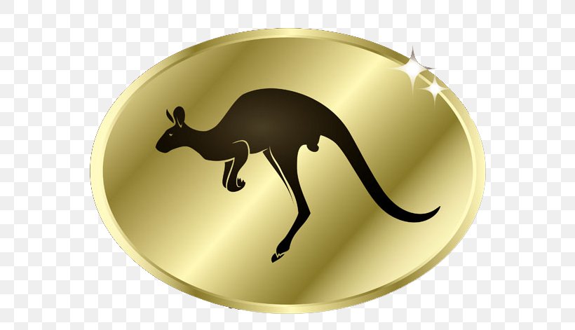 Macropodidae Eastern Grey Kangaroo, PNG, 660x471px, Macropodidae, Animal, Drawing, Eastern Grey Kangaroo, Fauna Download Free