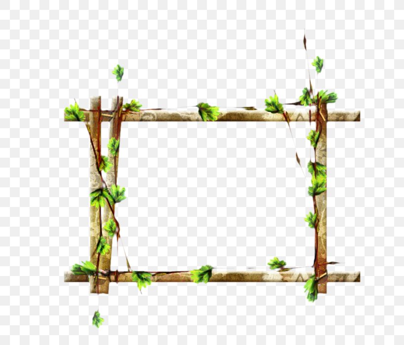Flower Line, PNG, 700x700px, M 0d, Branch, Family, Flower, Picture Frames Download Free