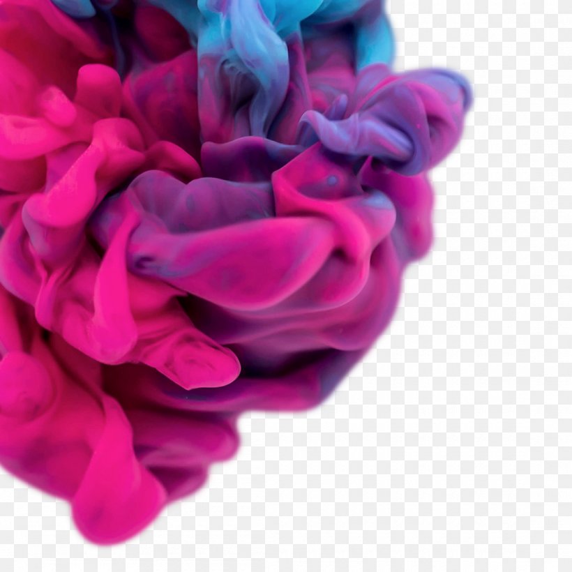 Flower Violet Rose Lilac Magenta, PNG, 1100x1100px, Flower, Cut Flowers, Flowering Plant, Garden Roses, Herbaceous Plant Download Free